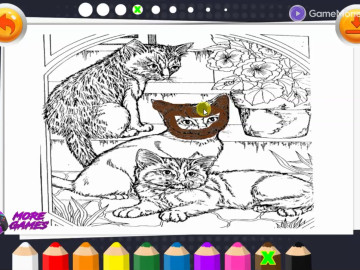 Coloring Book for Adults