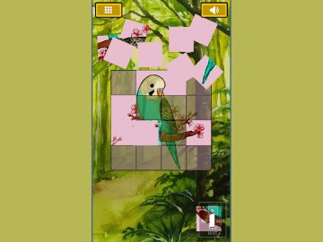 Cute Budgie Puzzle