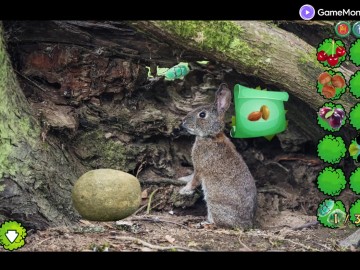 Mushroom Forest Adventure