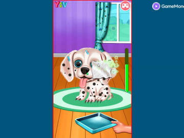 My Puppy Daycare Salon