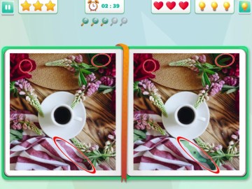 Spot The Difference - Seasons